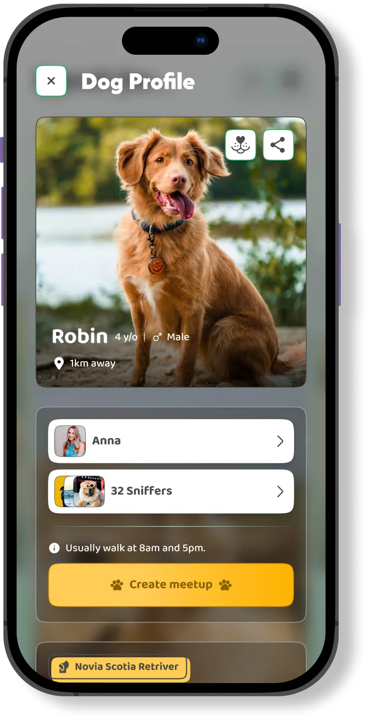 Ein Hundeprofil in DOGOUT