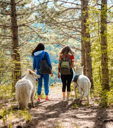 Zwei Frauen mit weißen Hunden auf einem Waldweg