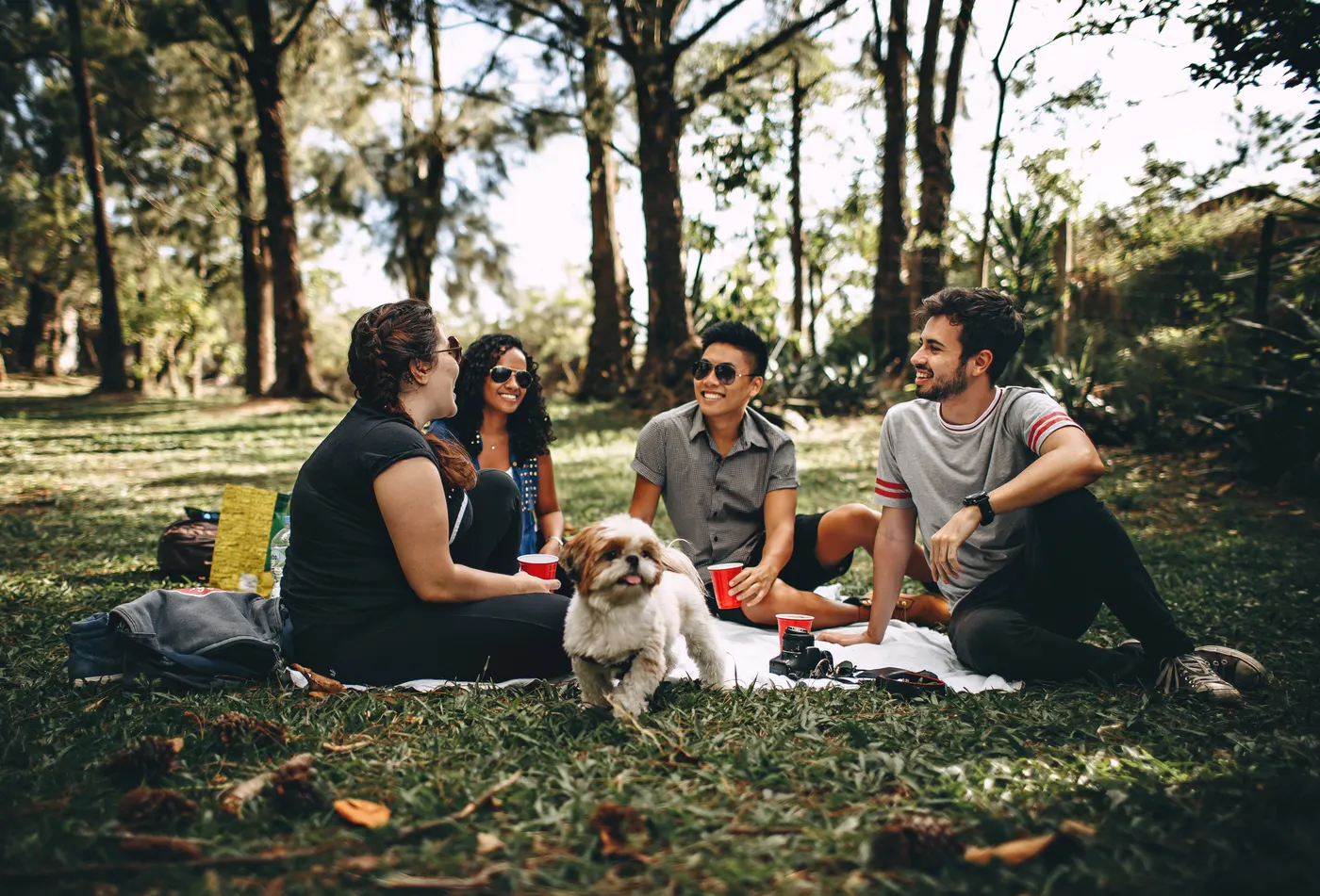 Hundemenschen beim Picknick im Park