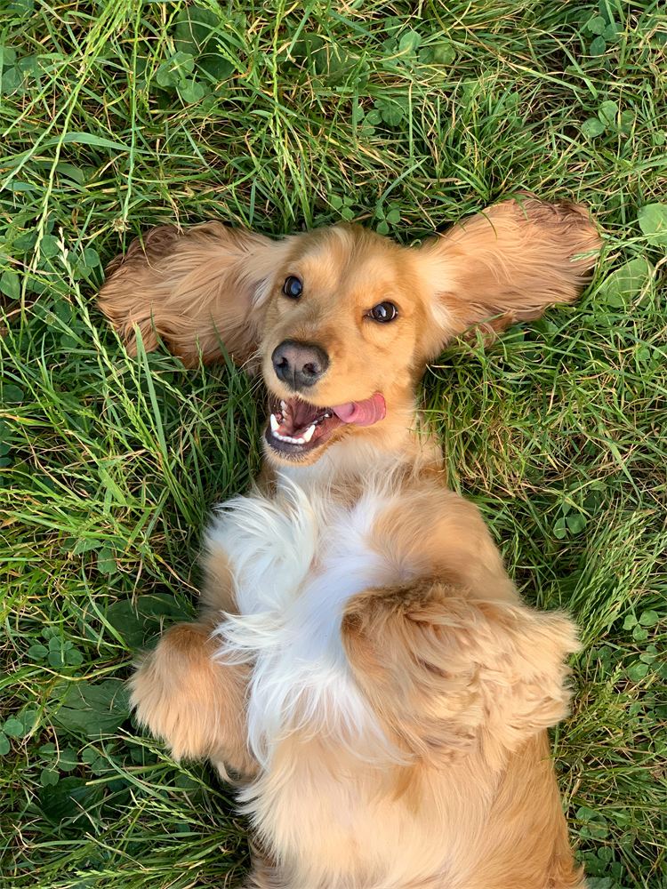Fiona, 3 Jahre, Łódź