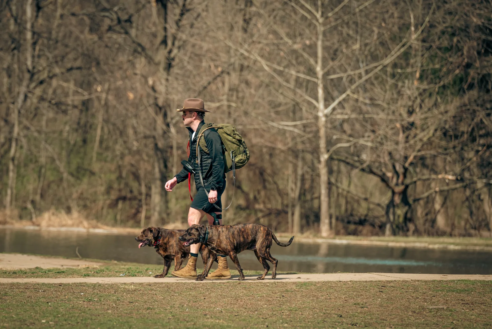 Man walking two dogs along a path by the water