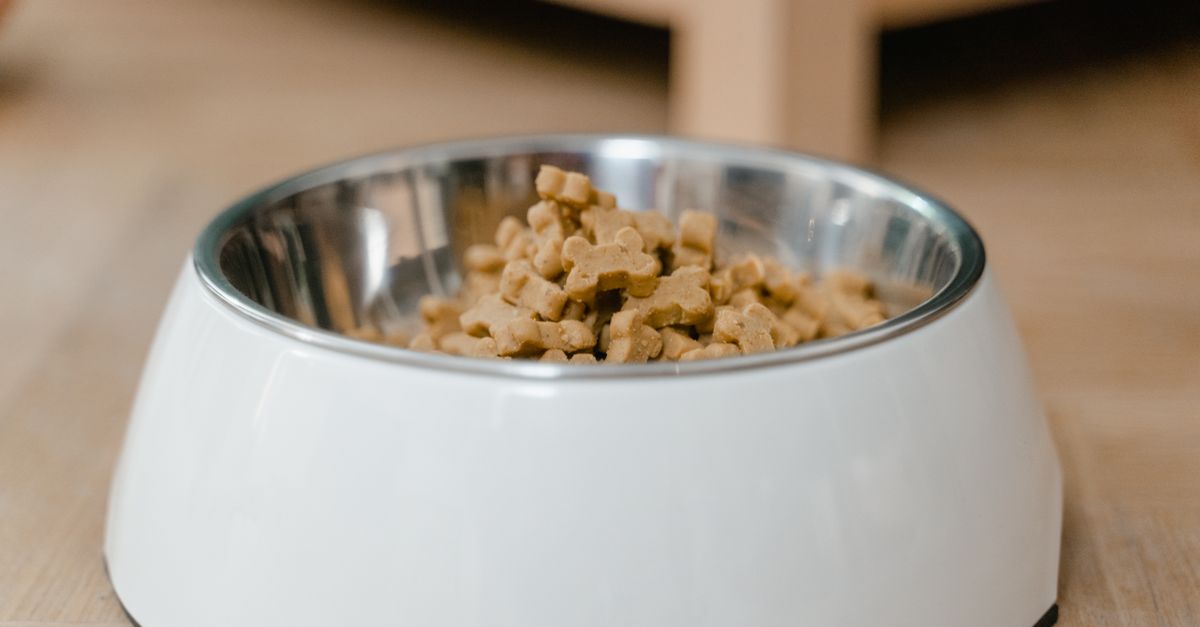 Dog looking at a food bowl on a kitchen table