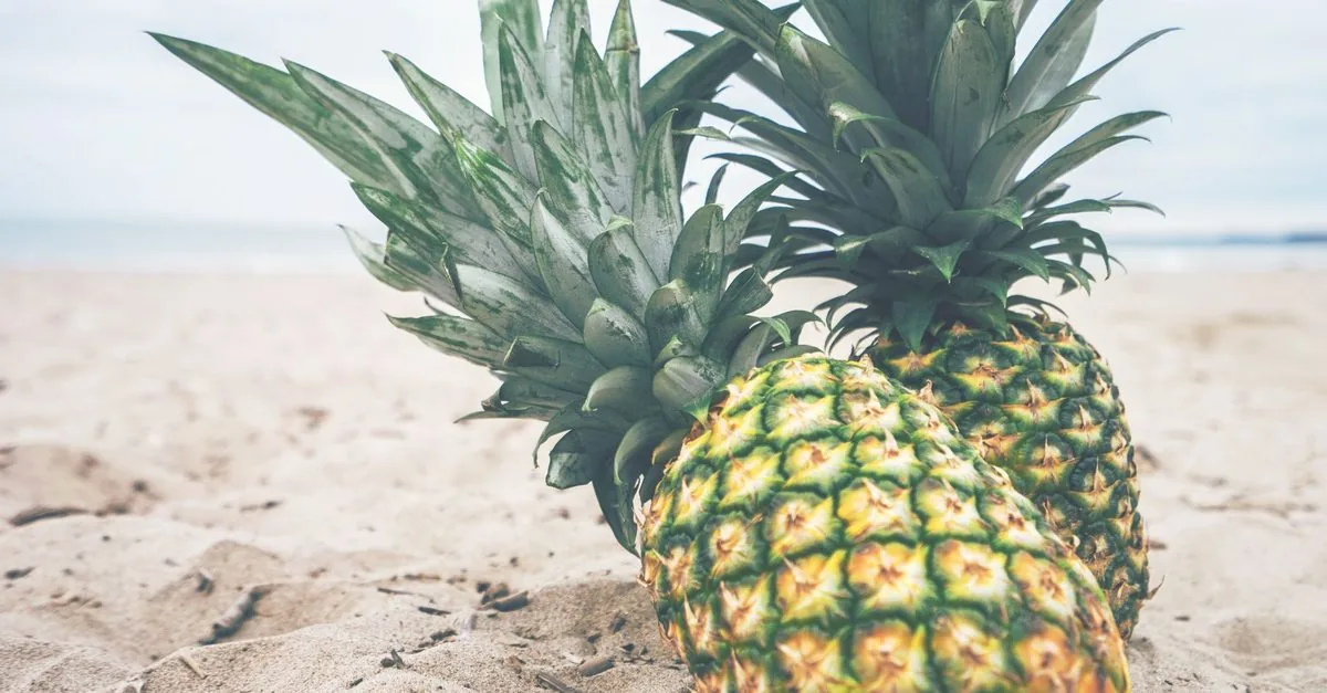 A ripe pineapple on the sand