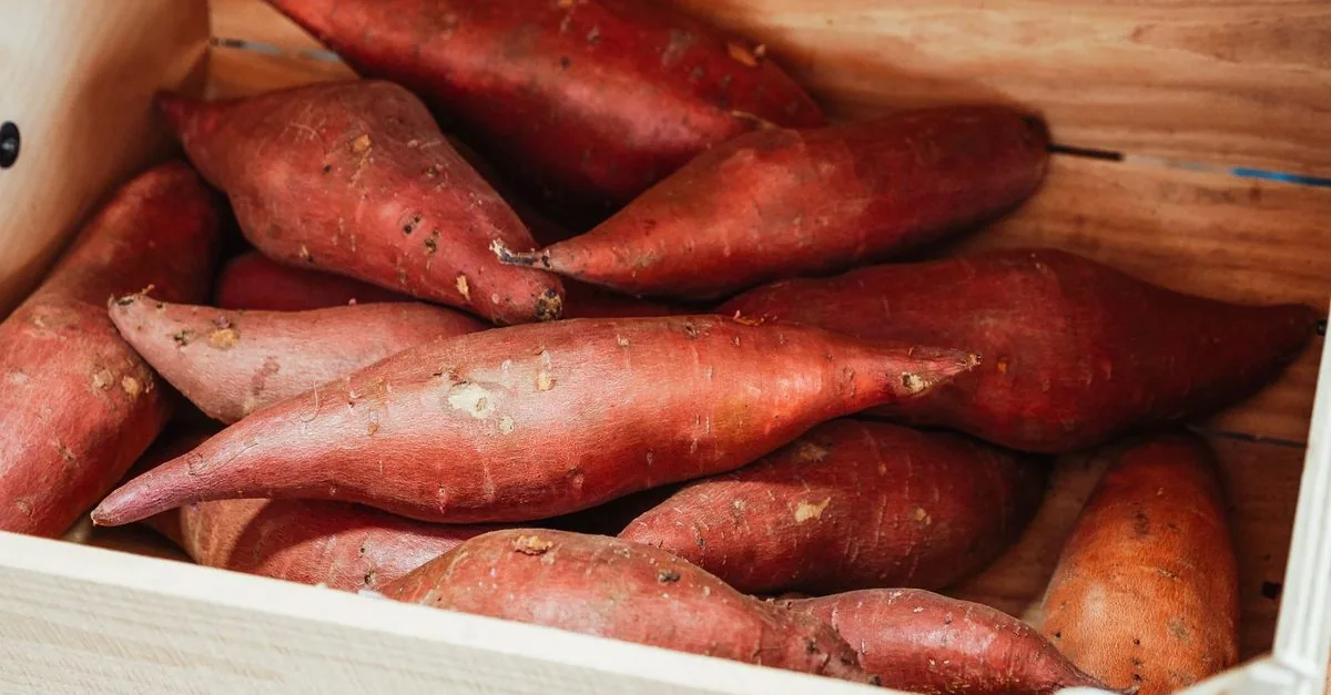 A crate of raw sweet potatoes