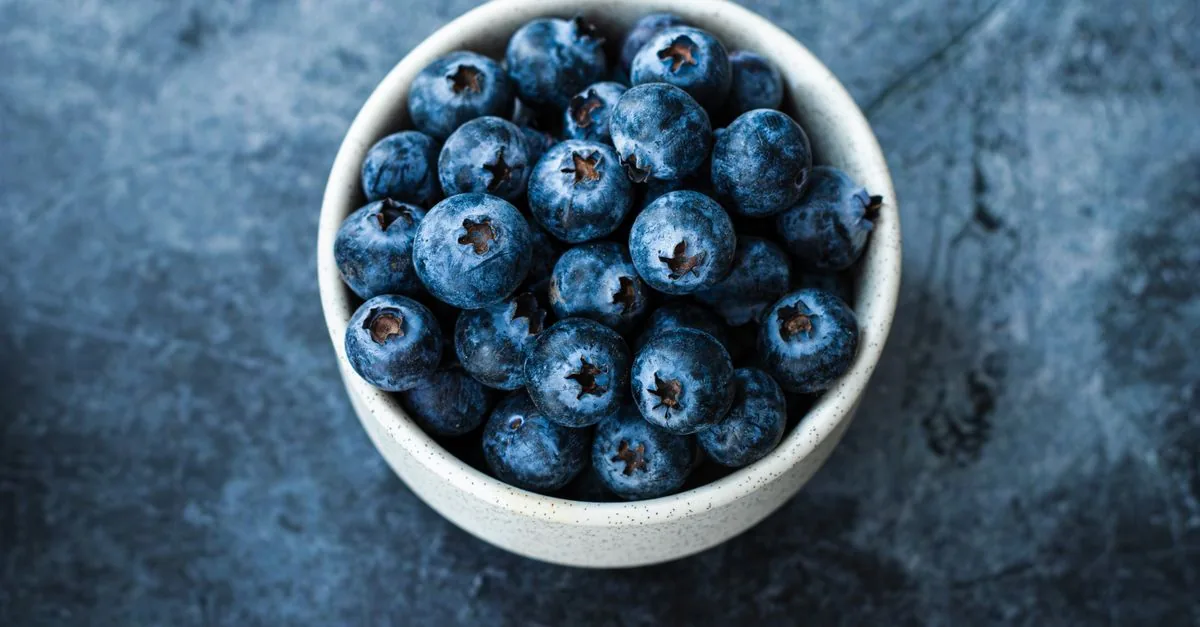 Dog looking at a handful of fresh blueberries