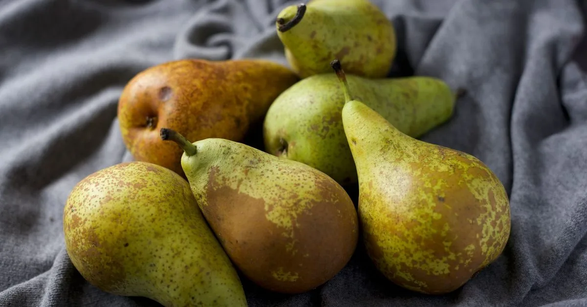 Ripe pears on grey cloth