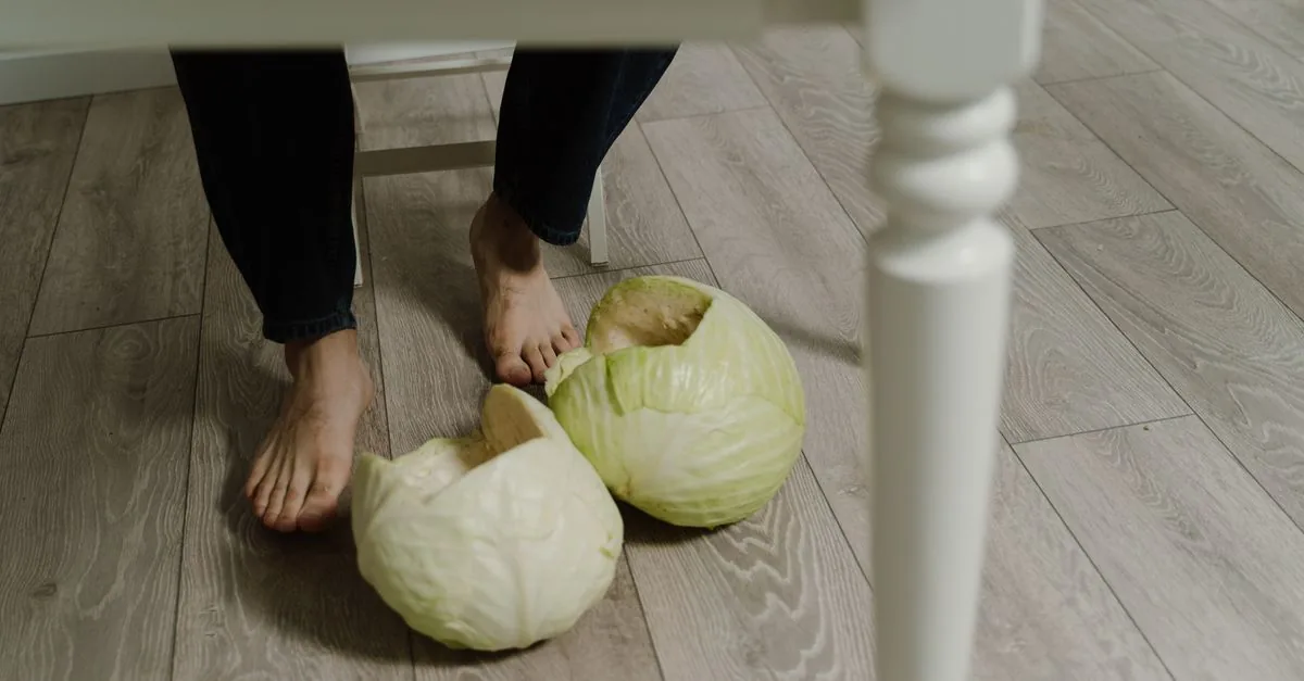 Dog sitting next to a head of cabbage on a wooden table