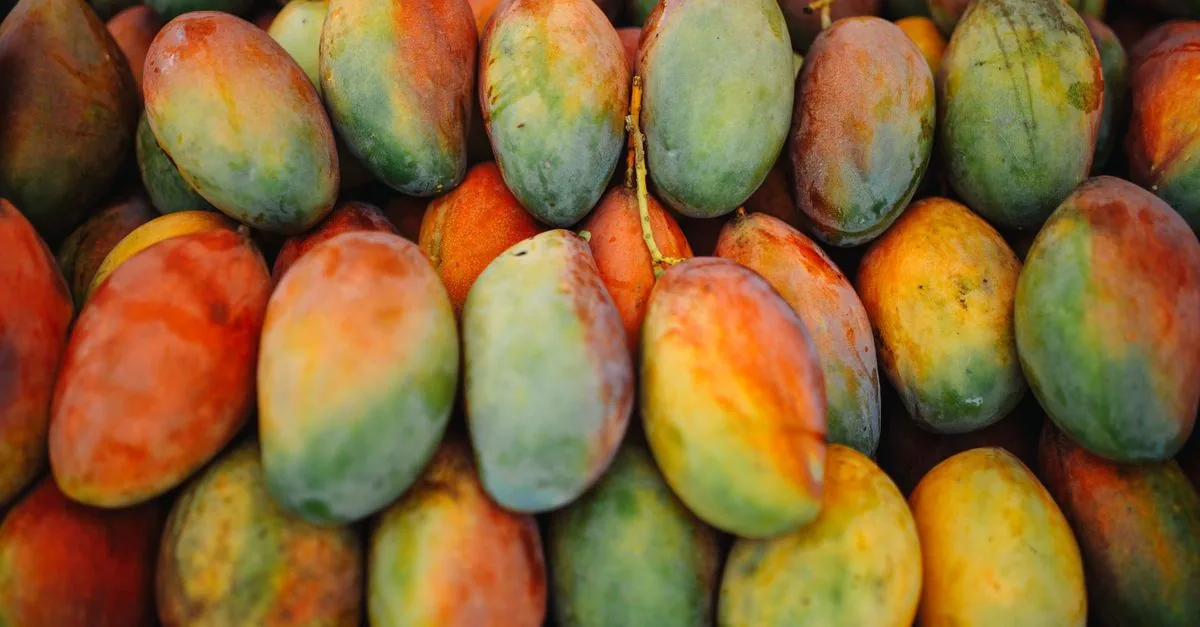 Ripe mango fruit