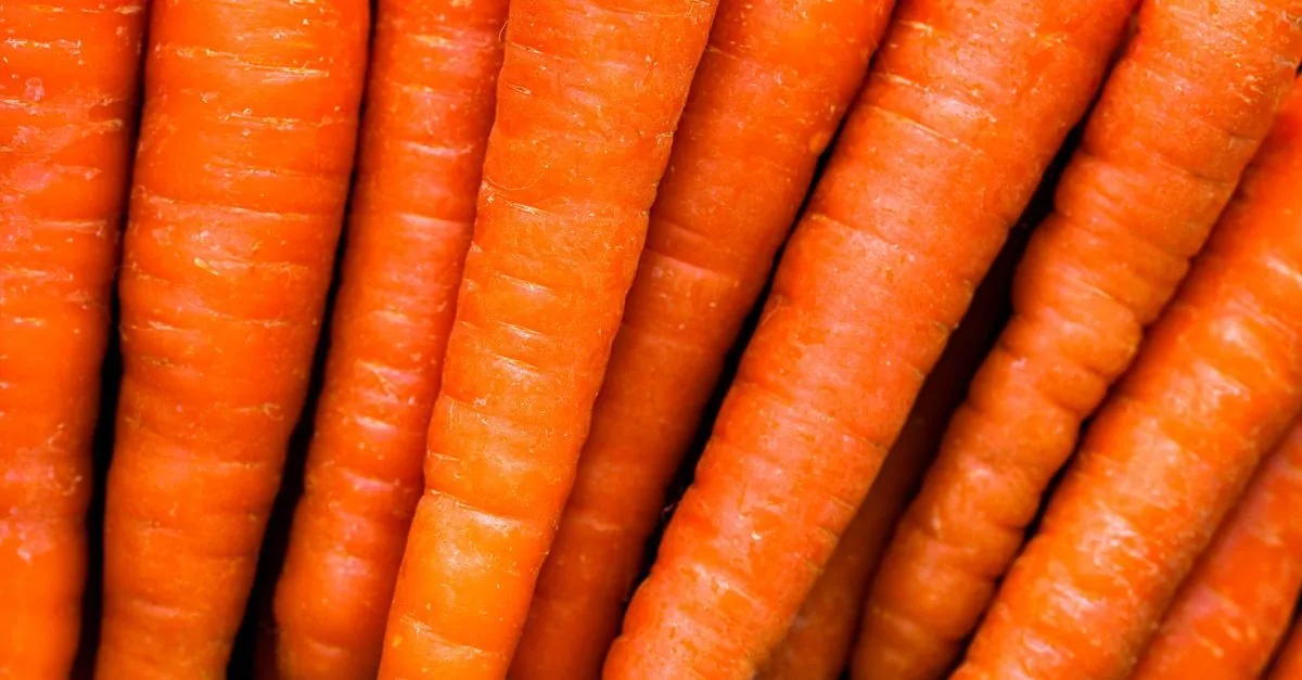A bunch of fresh carrots