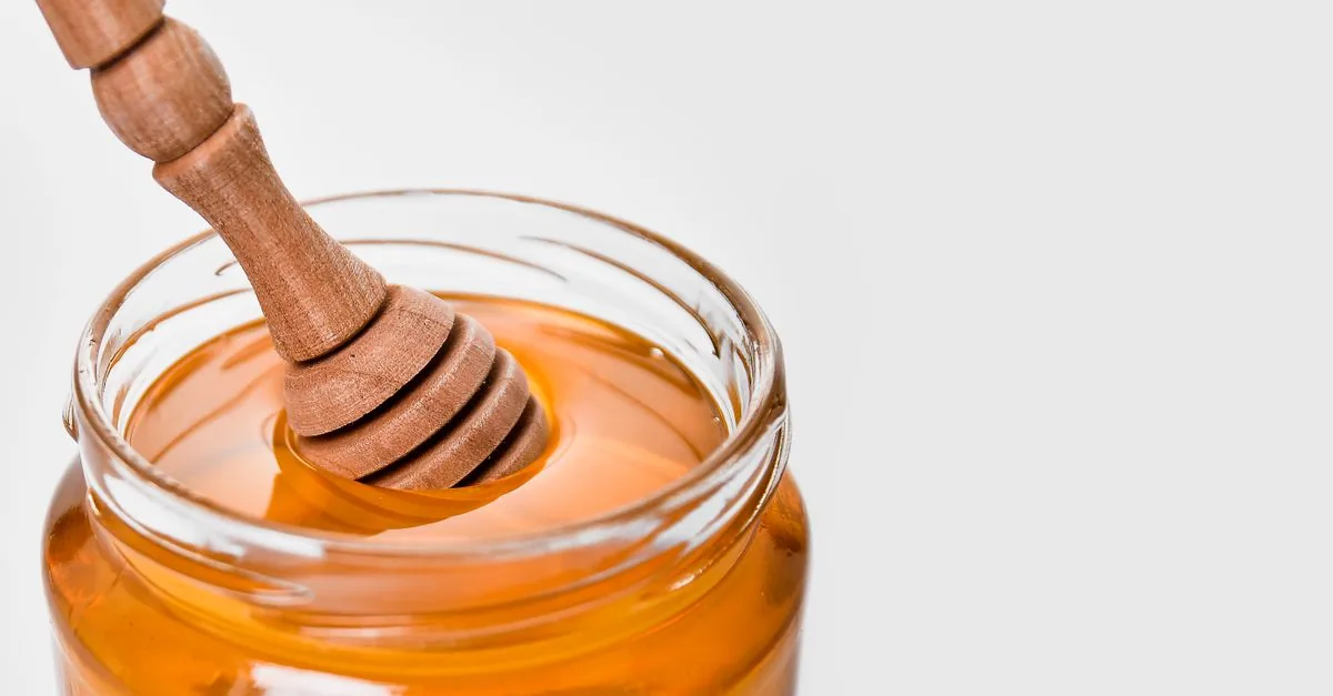 Dog sniffing a jar of honey held by its owner
