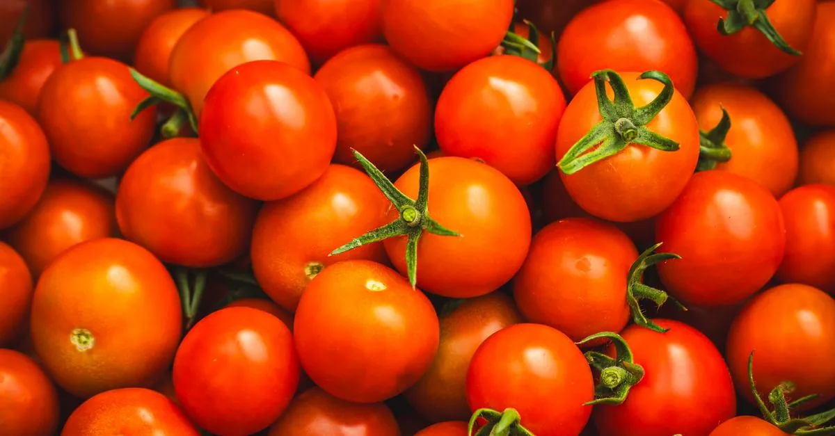 Dog sniffing a ripe red tomato on a wooden surface