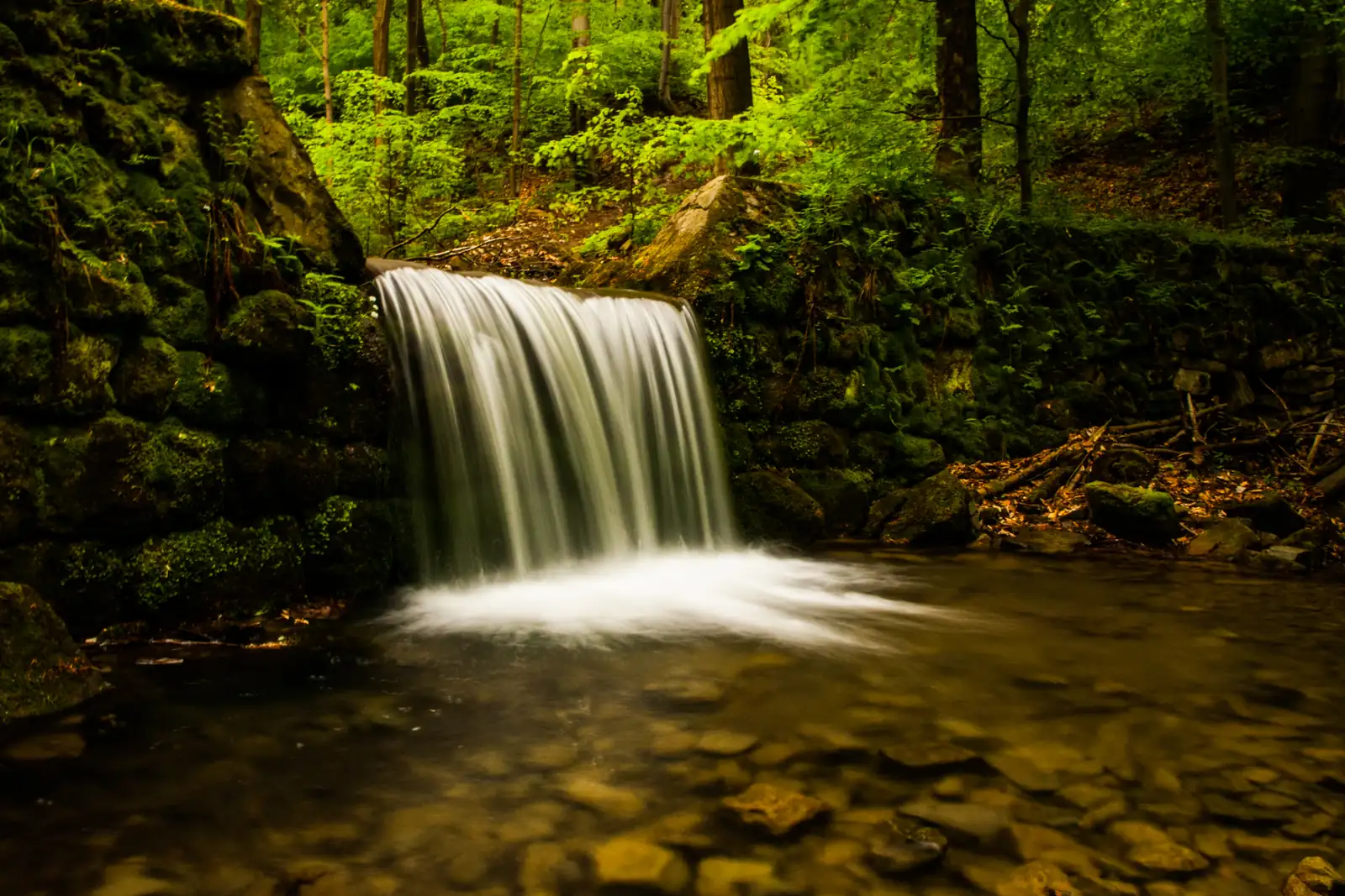Waterfall among greenery in the Wapienica valley near Bielsko-Biala