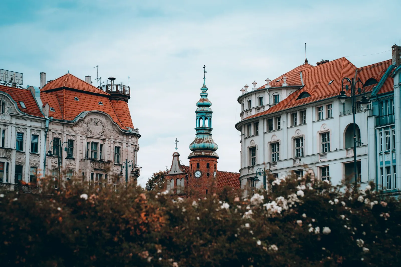 Bydgoszcz cityscape, illustrating a guide to dog-friendly walks