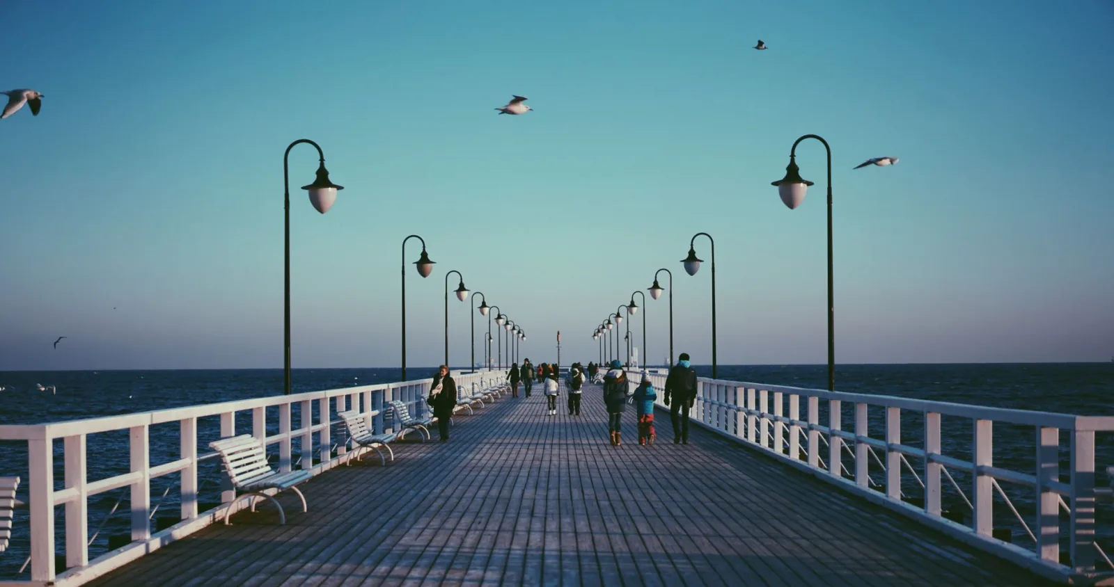 Gdynia cityscape, illustrating a guide to dog-friendly walks