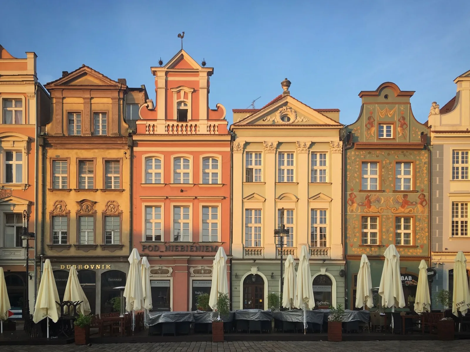 Poznań - widok miasta, ilustracja do poradnika o spacerach z psem