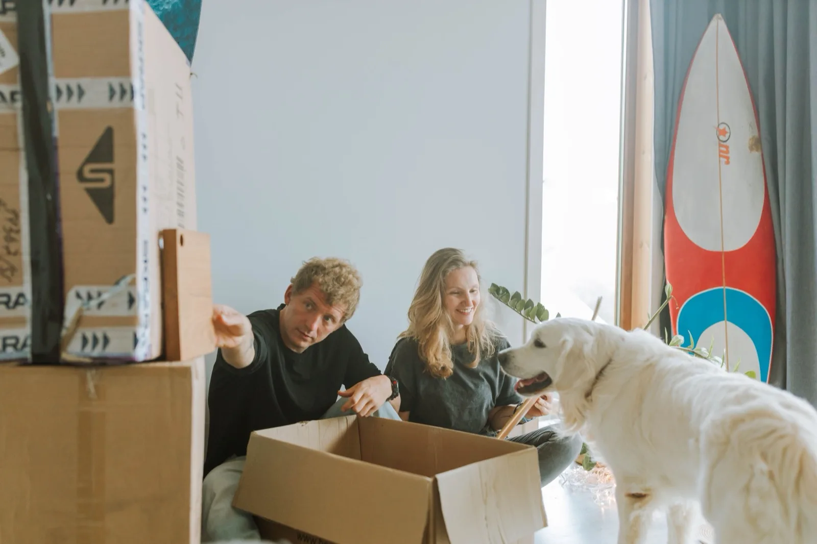 Light-coloured dog sniffing an open cardboard box among moving boxes in a new flat