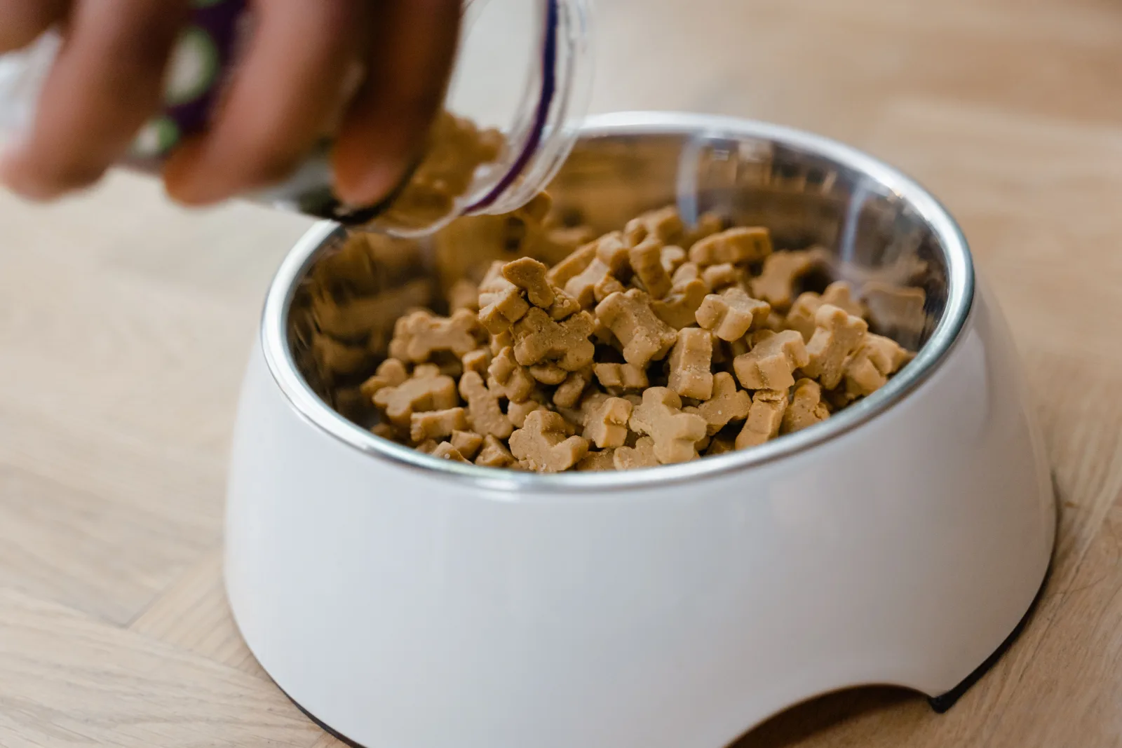 Dry dog food being poured from a pack into a dog bowl