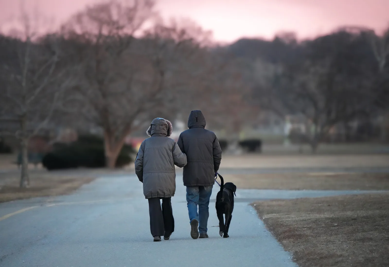 Two people walking together with their dogs in a park