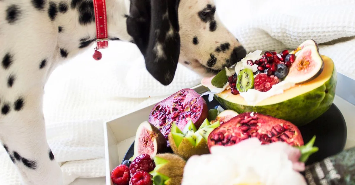A dog sniffing a bowl of chopped fruit - apple, banana and strawberries