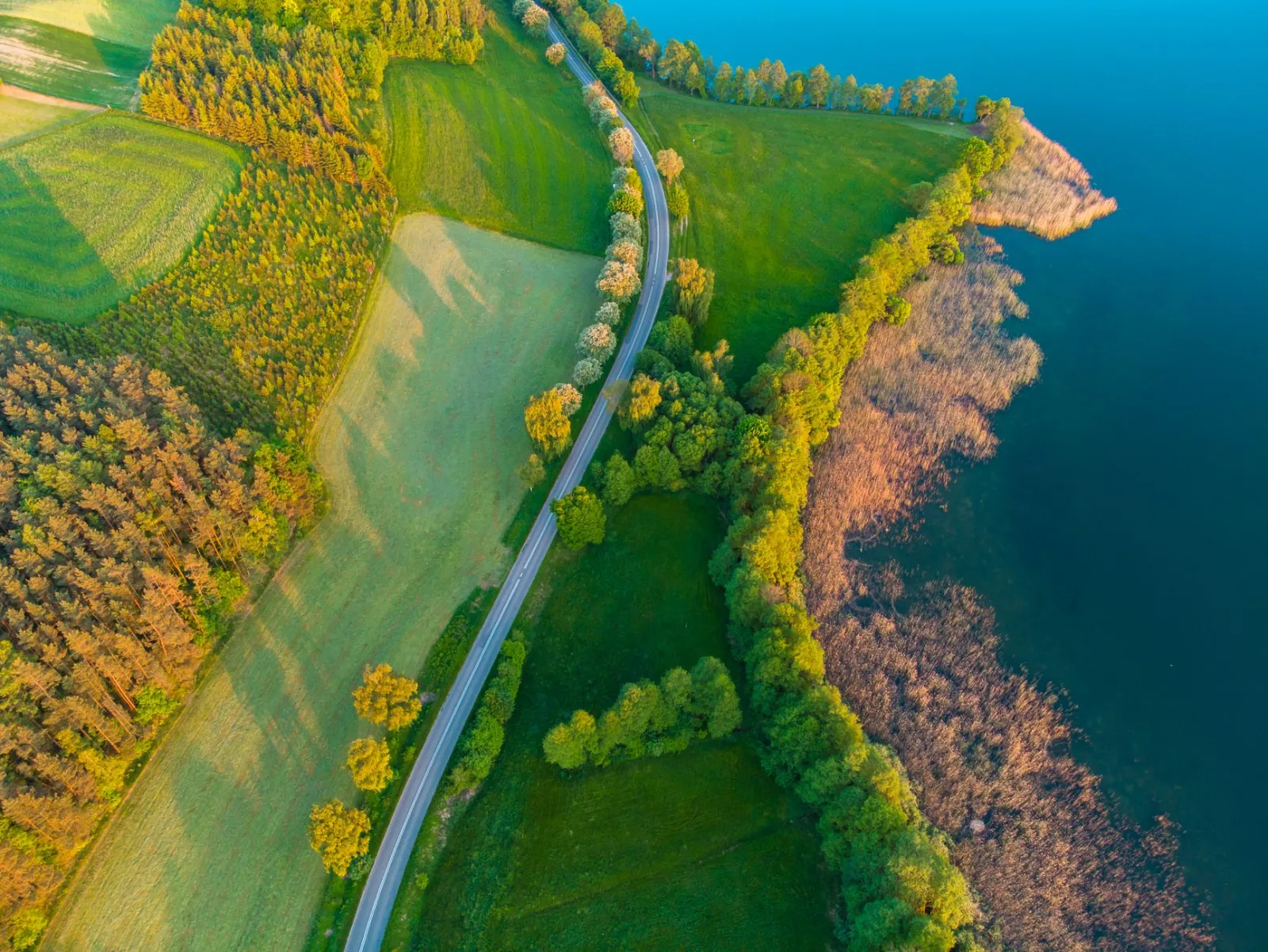 Kaszuby regional landscape, illustrating a guide to dog-friendly walks