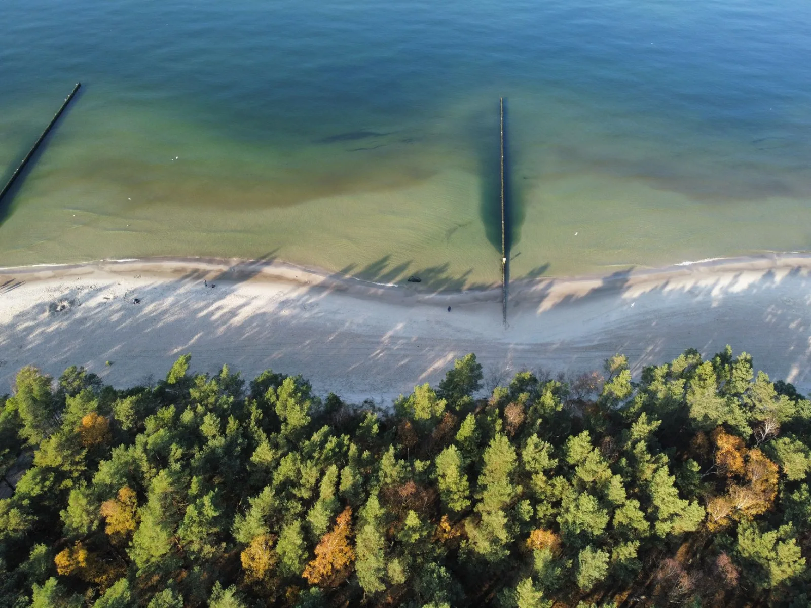 Kołobrzeg seaside view, illustrating a guide to dog-friendly walks