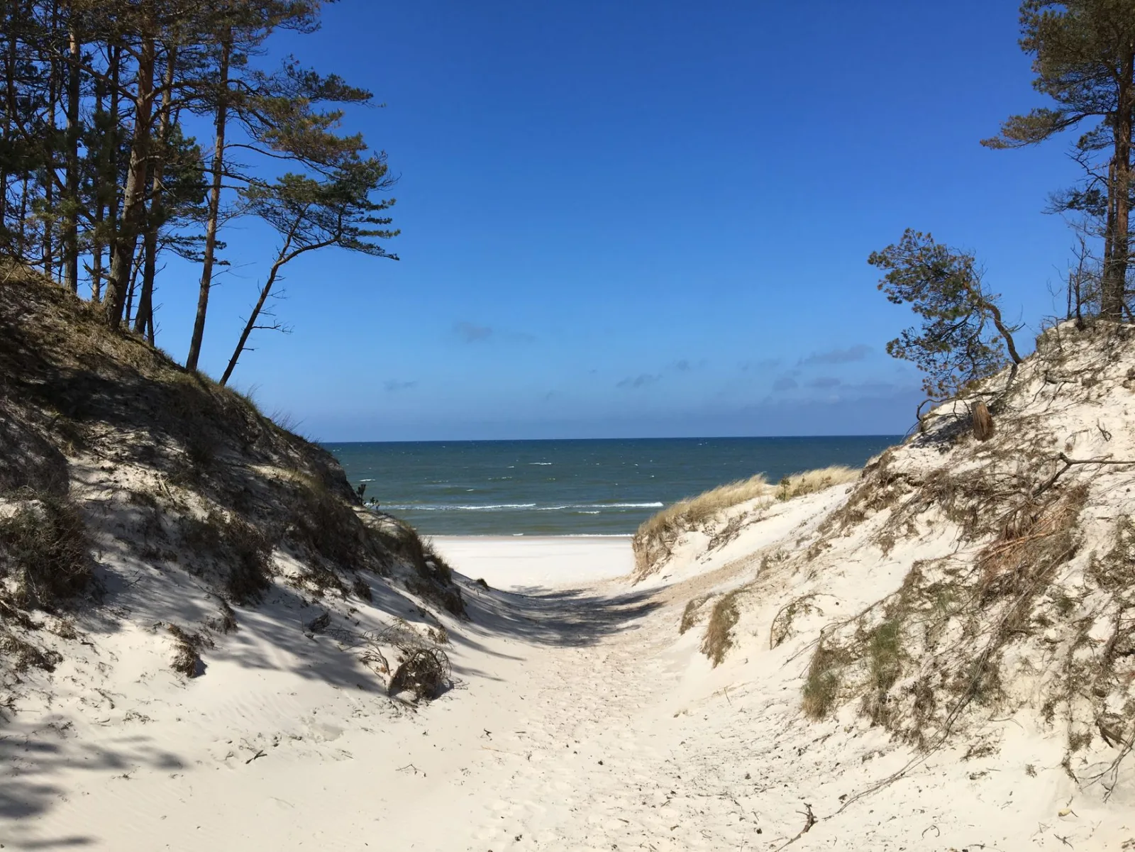 Łeba seaside view, illustrating a guide to dog-friendly walks