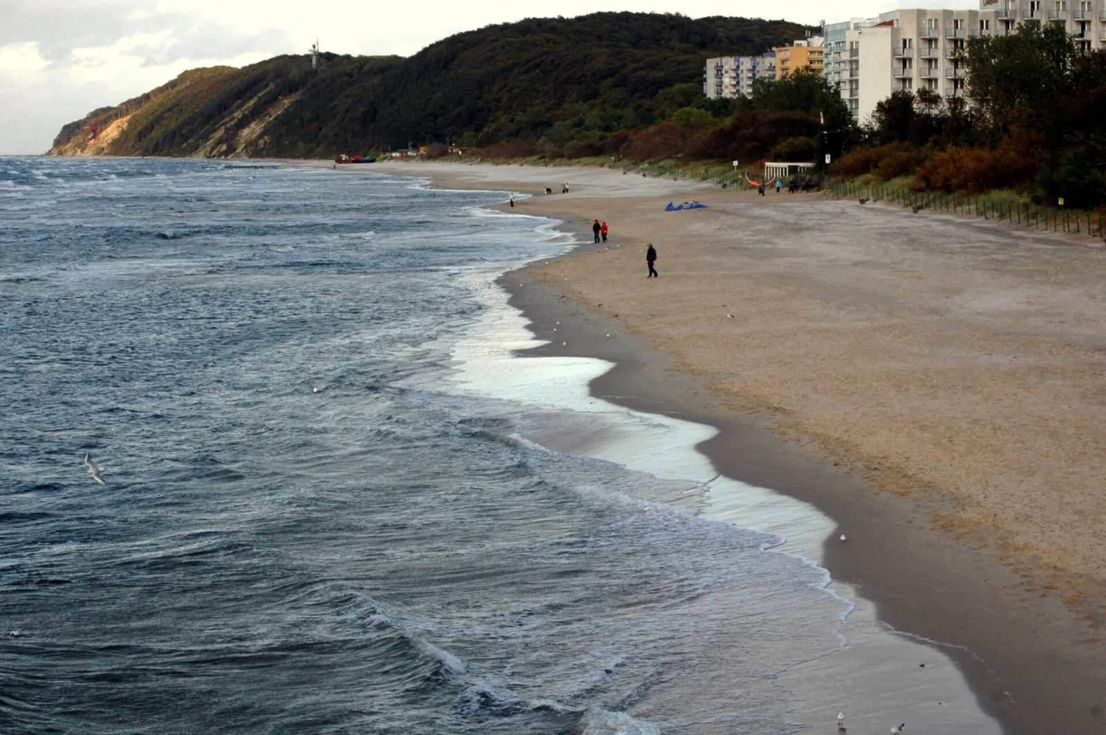 Międzyzdroje seaside view, illustrating a guide to dog-friendly walks