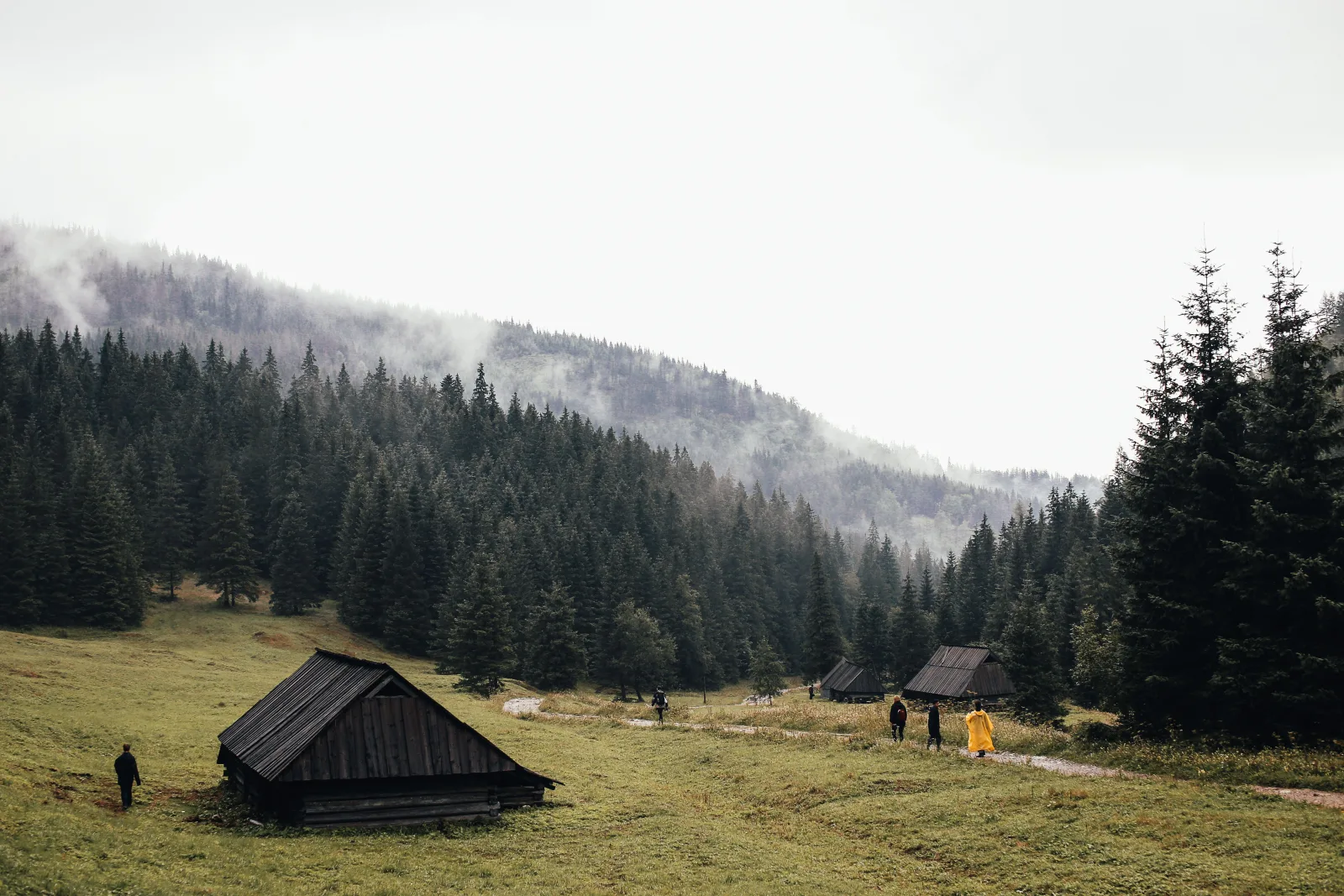 Misty valley in the Bieszczady Mountains with wooden huts and hikers on a trail