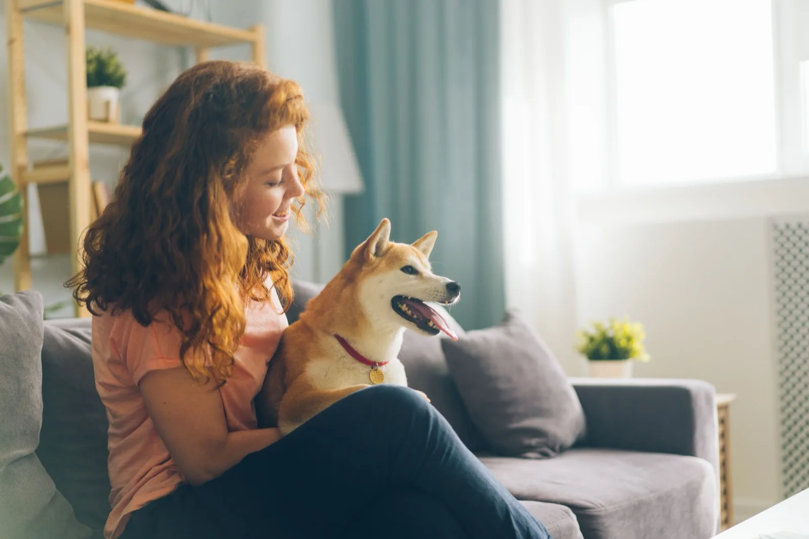 A dog sitter with a dog on the sofa in a bright living room