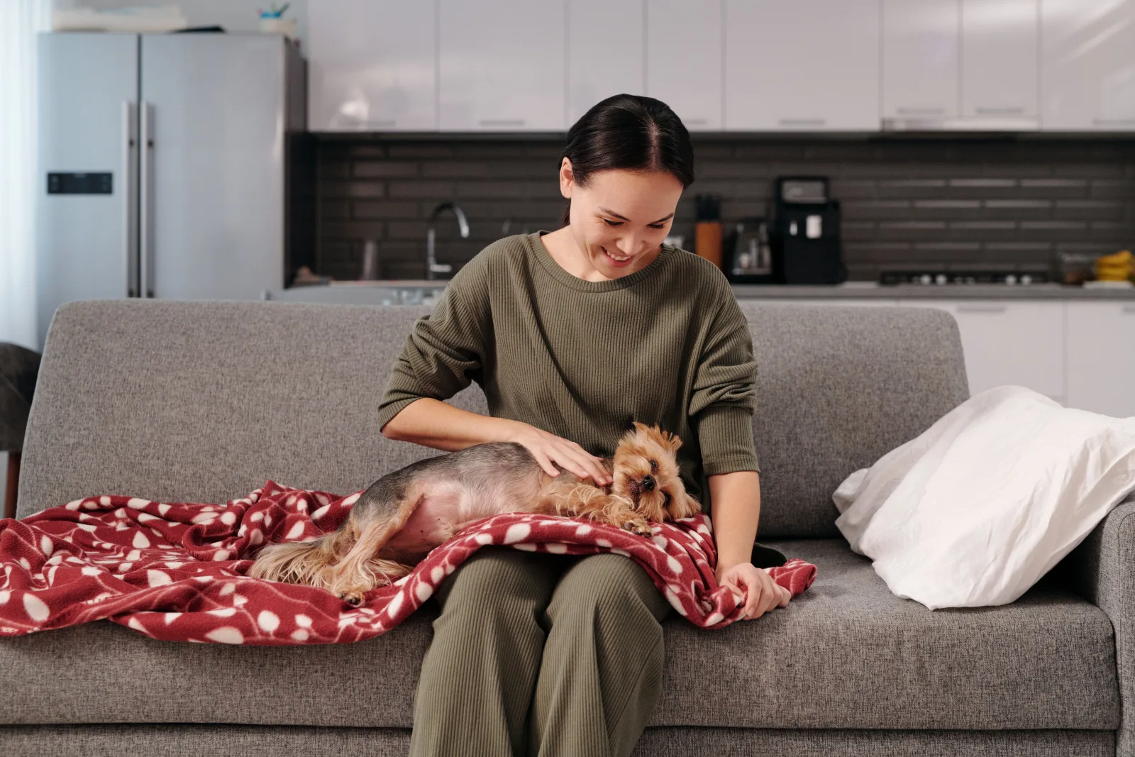 A dog sitter petting a small dog resting on a blanket on the couch at home