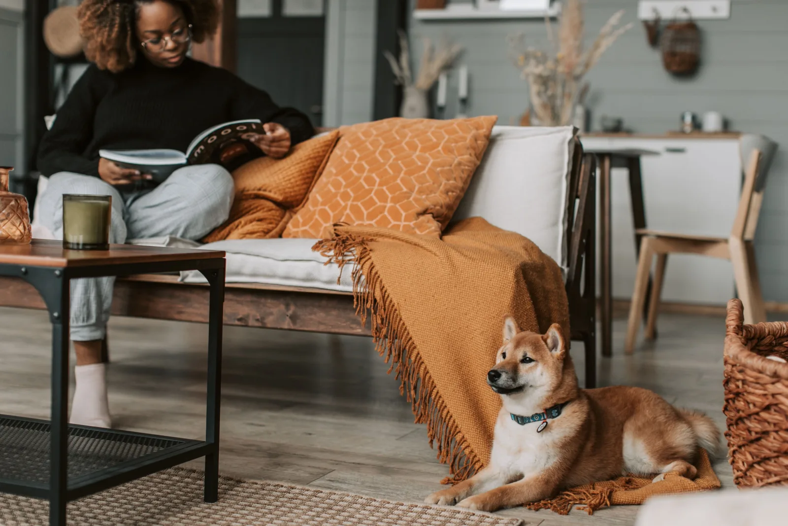 A dog resting on a blanket beside the couch in a cosy apartment while its sitter reads nearby