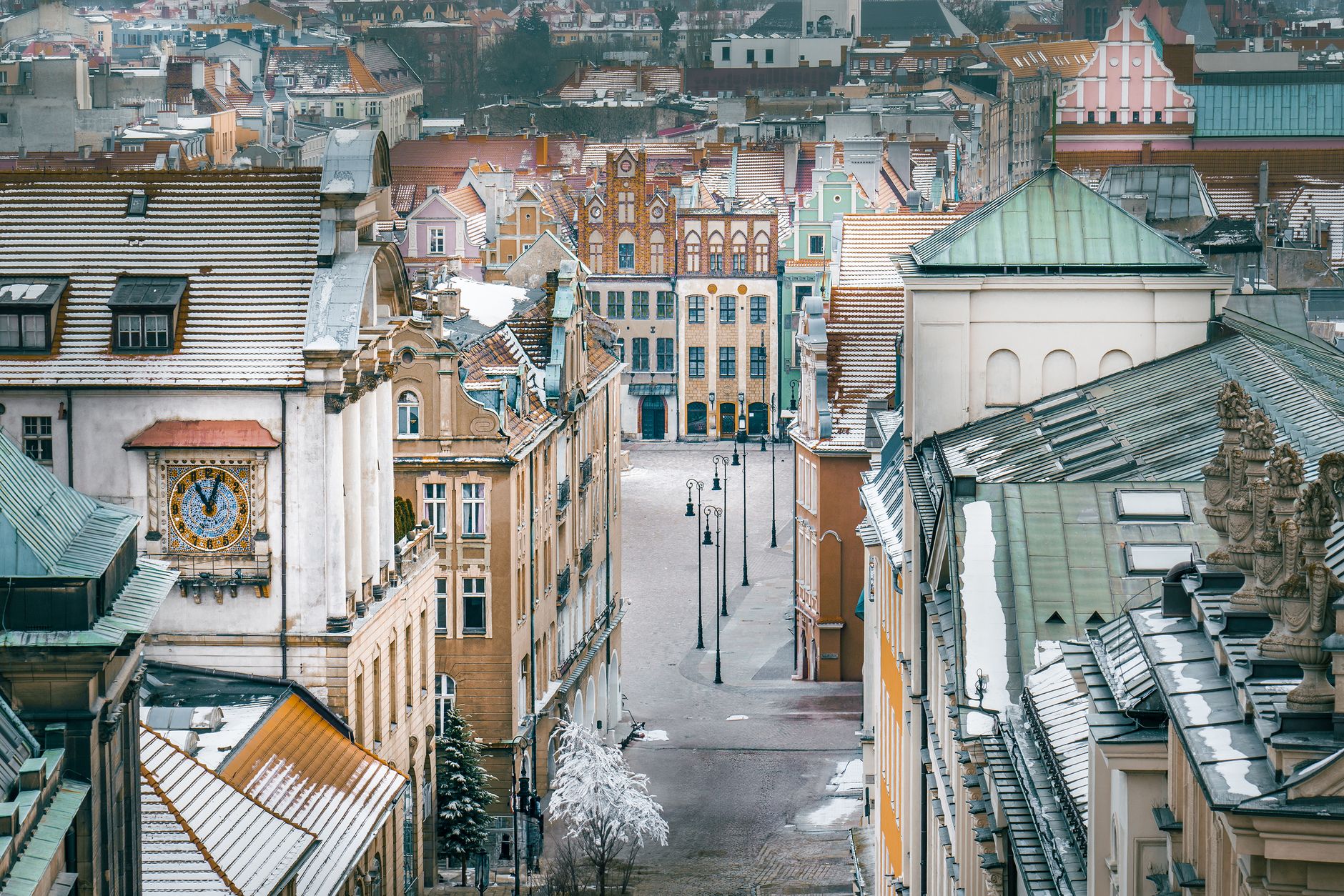 Poznań - widok miasta, ilustracja do poradnika o spacerach z psem