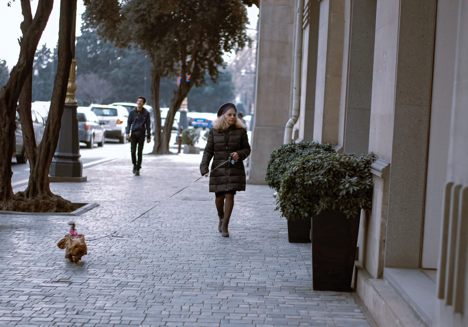 Woman walking a small dog on a leash along a city sidewalk near an apartment building