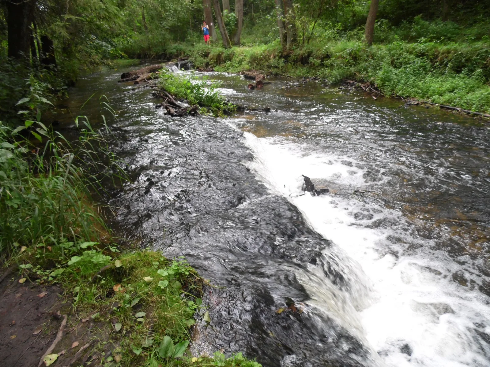 Cascades and mini-waterfalls on the Szumy nad Tanwią trail in the Roztocze region
