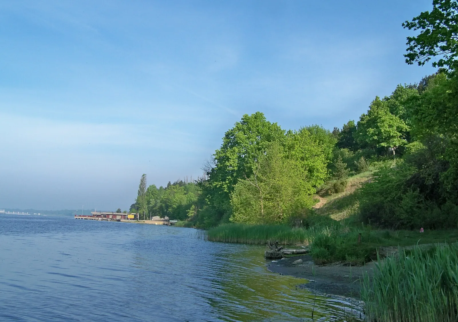 Shoreline of Zegrze Lake in Jachranka on a sunny day