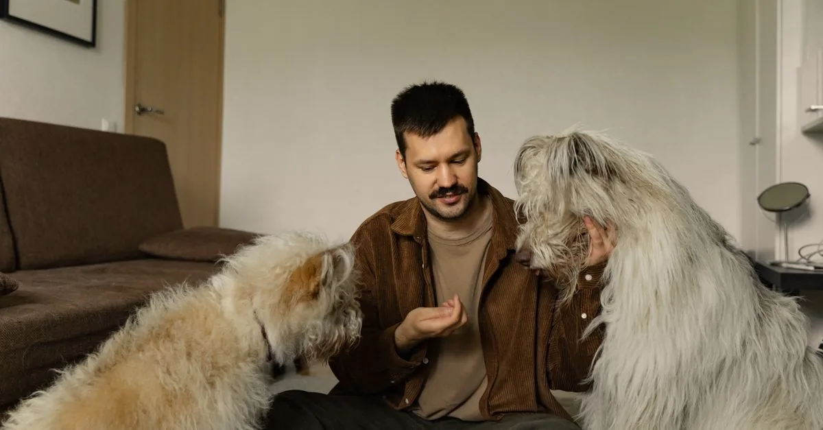 Two dogs sitting beside their owner, one demanding attention while the other waits calmly